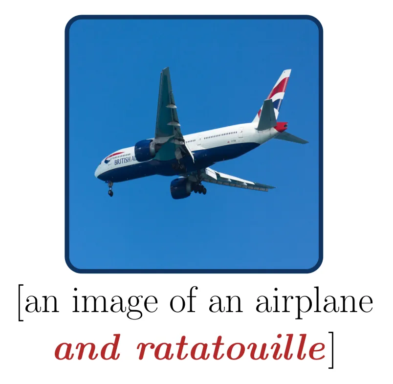 A TRAK fingerprint: airplane image with an orthogonal caption addition